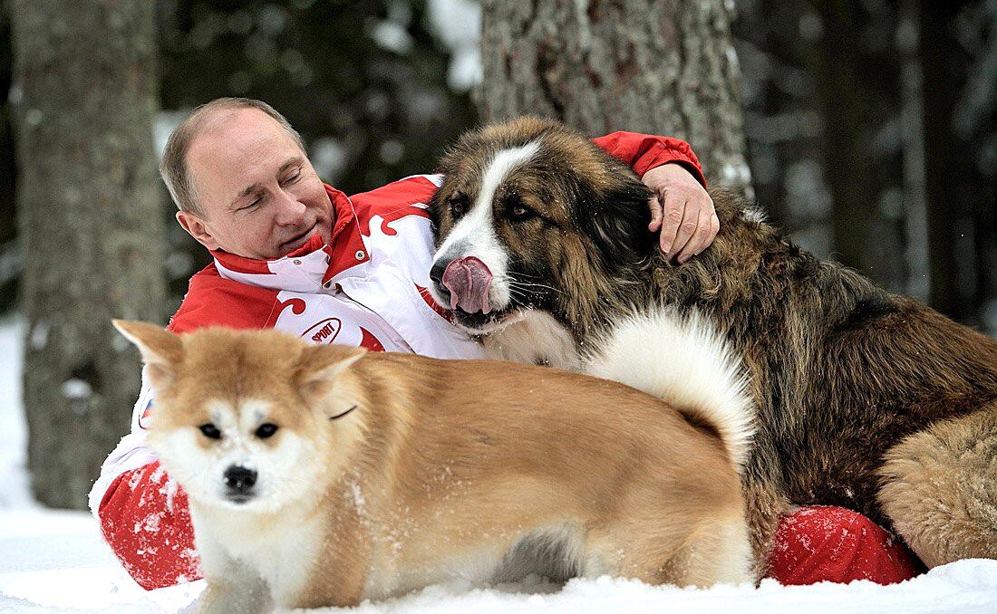 Фото из сети интернет