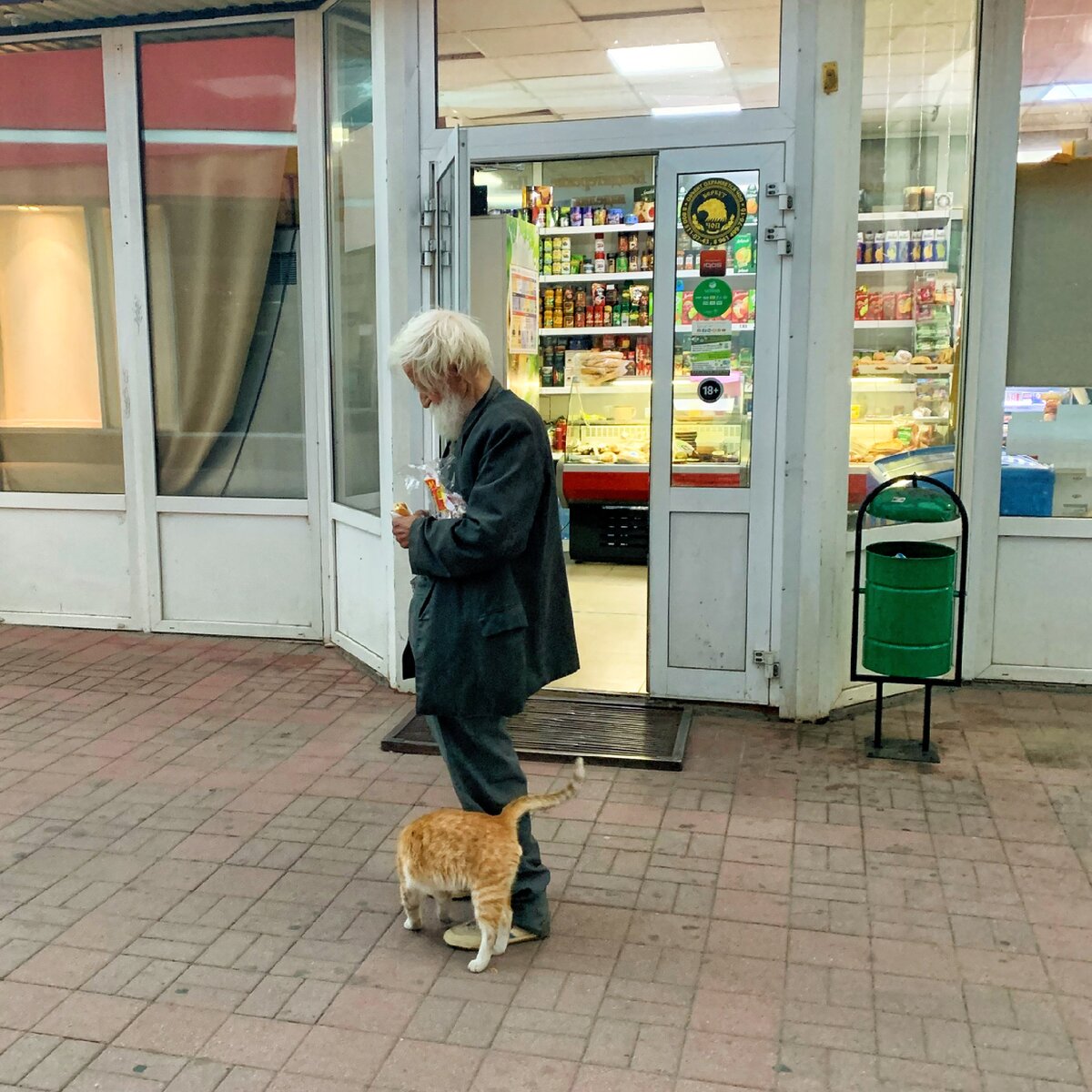 Дедушке дали печенья, а он поделился с бездомным котом 