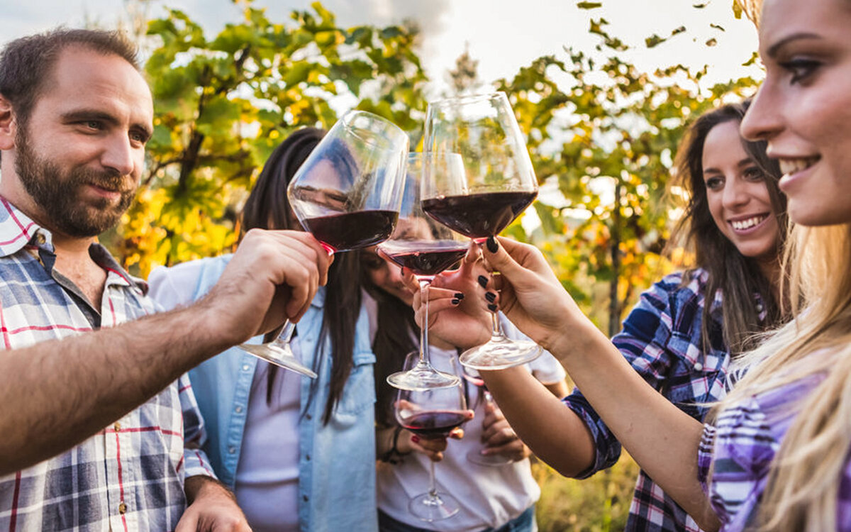 Дегустация вина Грузия