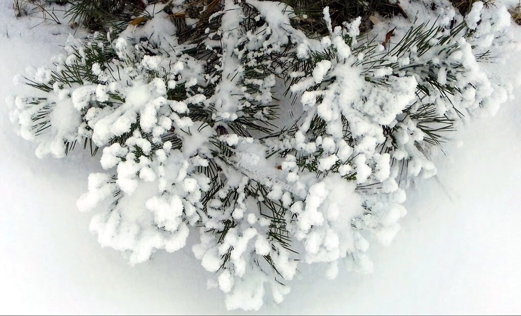 Мы есть, это главное что важно осознать на данный момент. Всё остальное жизнь предоставит, если мы будем прислушиваться к ней, а не требовать того, что забросим в шкаф для коллекции.