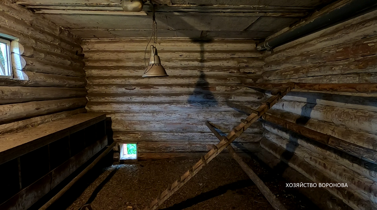 Лампа в курятнике