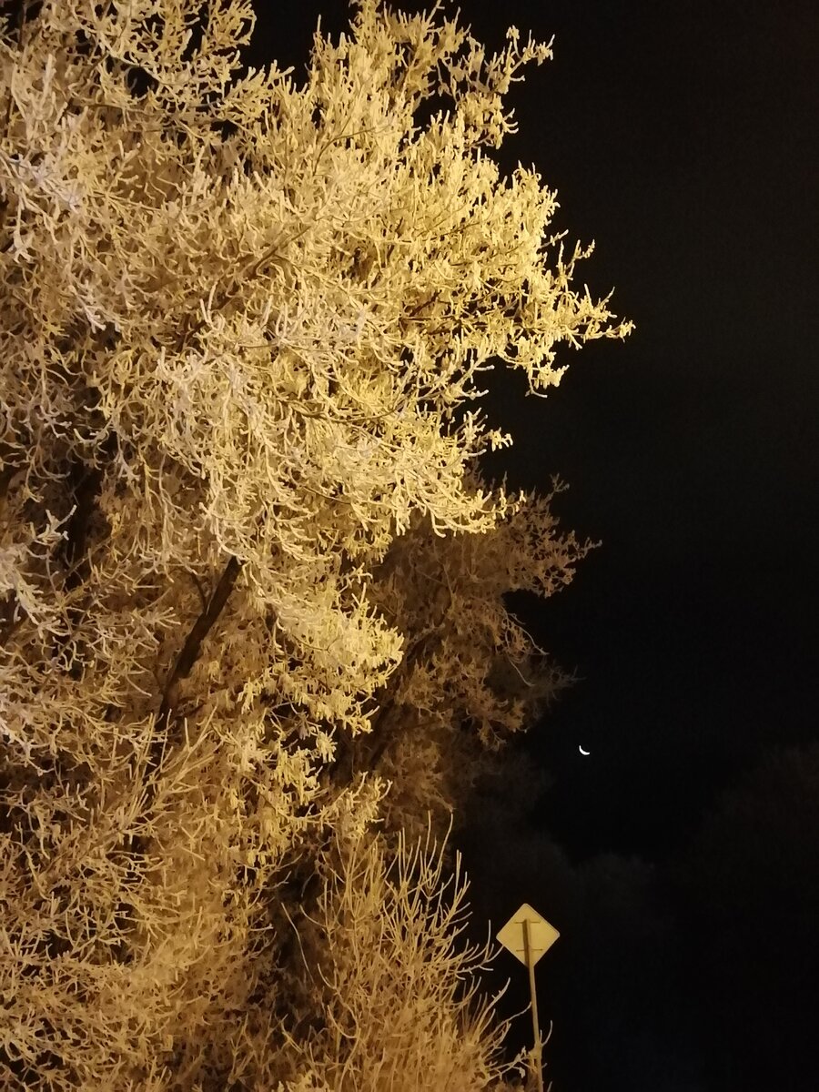 Только месяц в небе не спал... 
