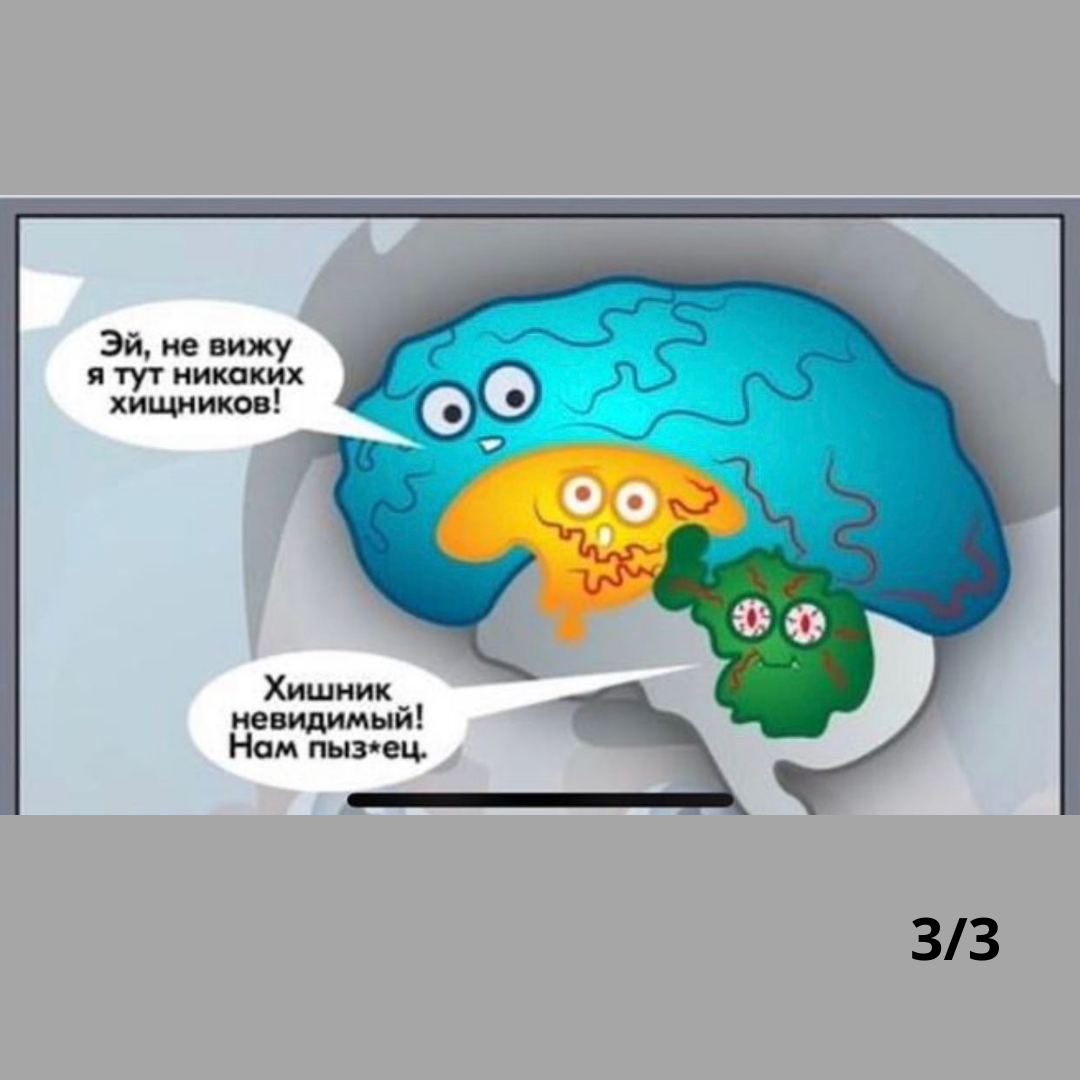 Мозги сильнее. Мозг не работает. Наш мозг на самом деле. На самом деле думает мозг. Как мозг думает кратко.