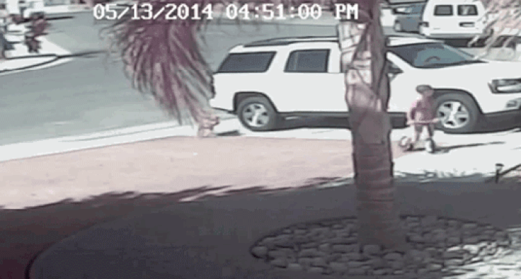 А это видео говорит само за себя. Источник: www.google.com