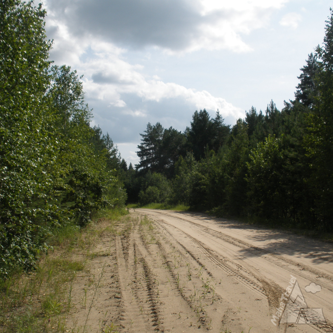 Дорога до д. Алексеевка Муромцевский район Омской области