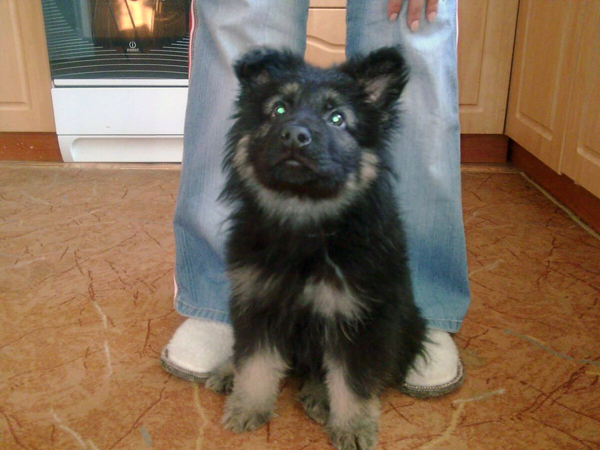 Для позитива с самого старта статьи - детская фотка нашего героя!