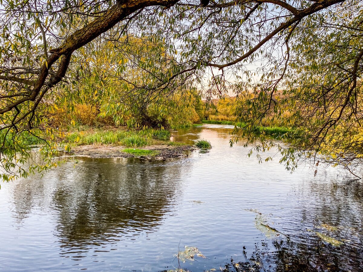 Река непрядва. Непрядва (река). Верхний Дон Непрядва. Рыбалка на Непрядве. Засосенка Краснинский район где Дон с сочной сливаются.