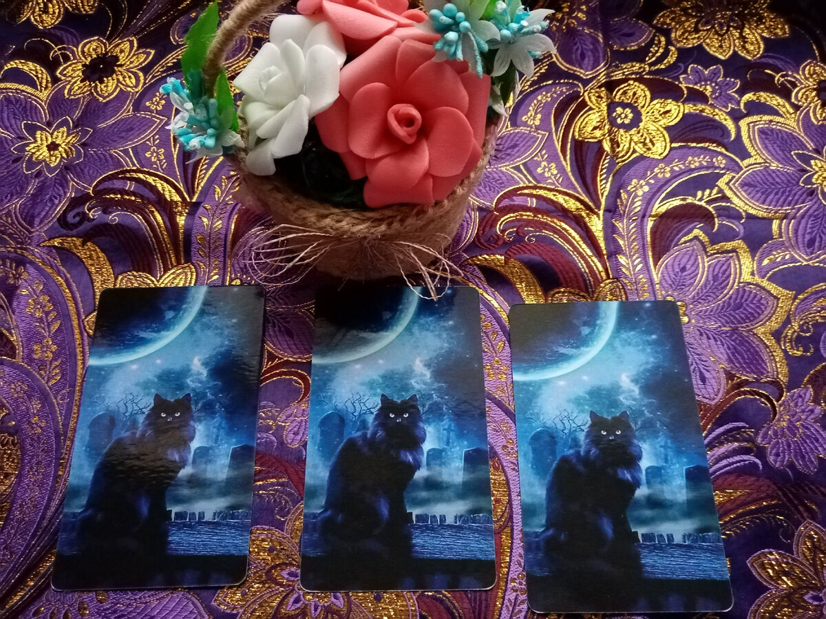 Выбирайте вариант ❤️❤️❤️