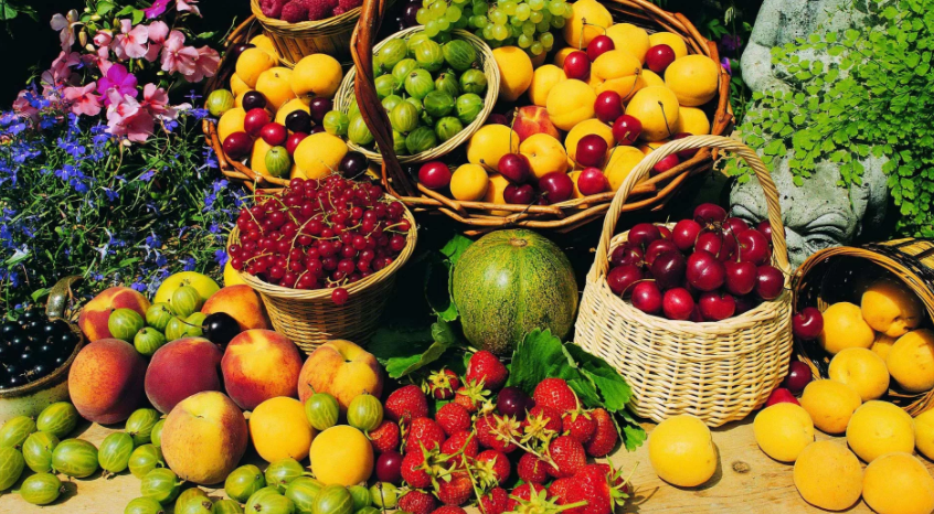 Фото из открытого источника