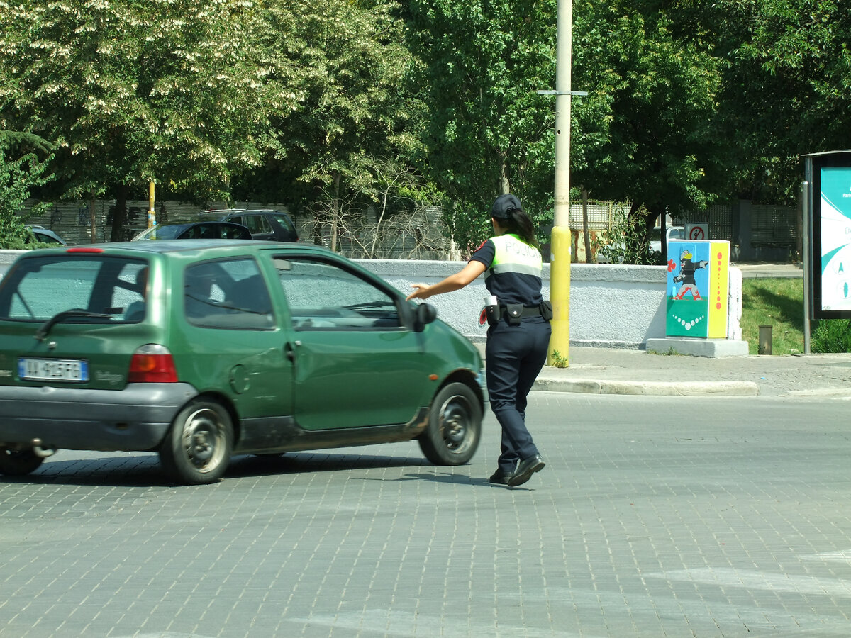 ..но не менее общительны с водителями.