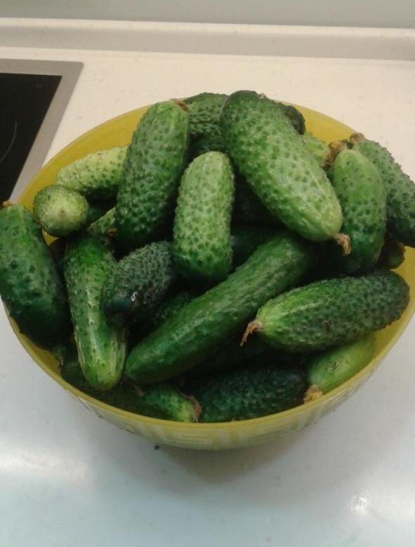 Огурцы лучшие помощники в похудении. 