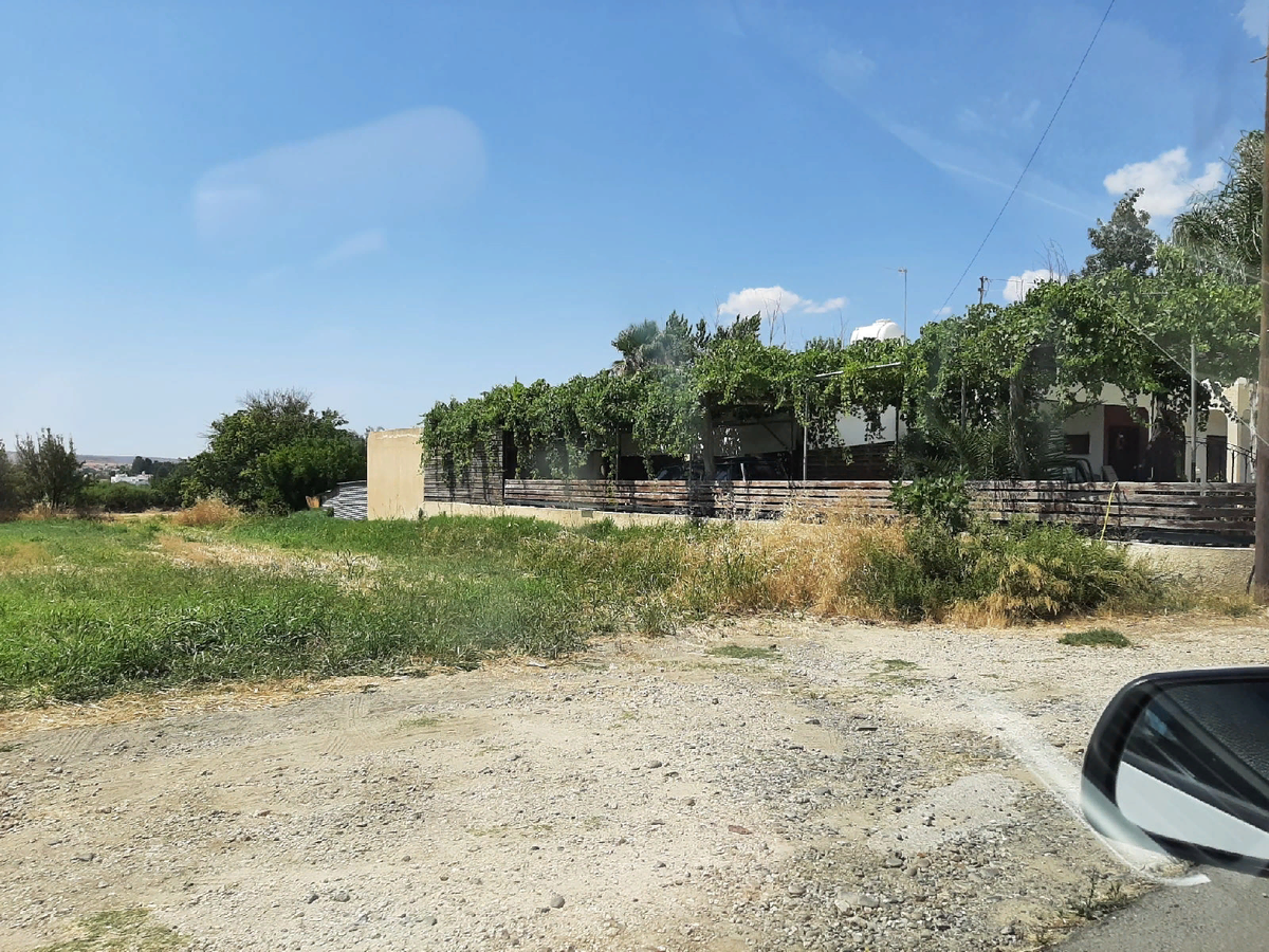 Живая изгородь - очень распространённый вариант забора