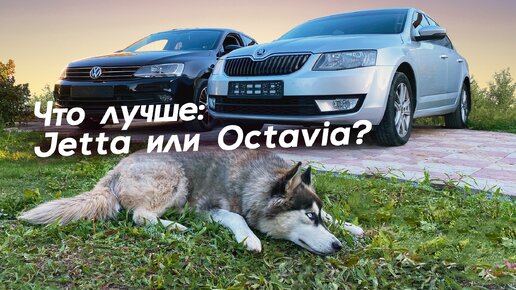 Что лучше, Skoda Octavia или VW Jetta?!