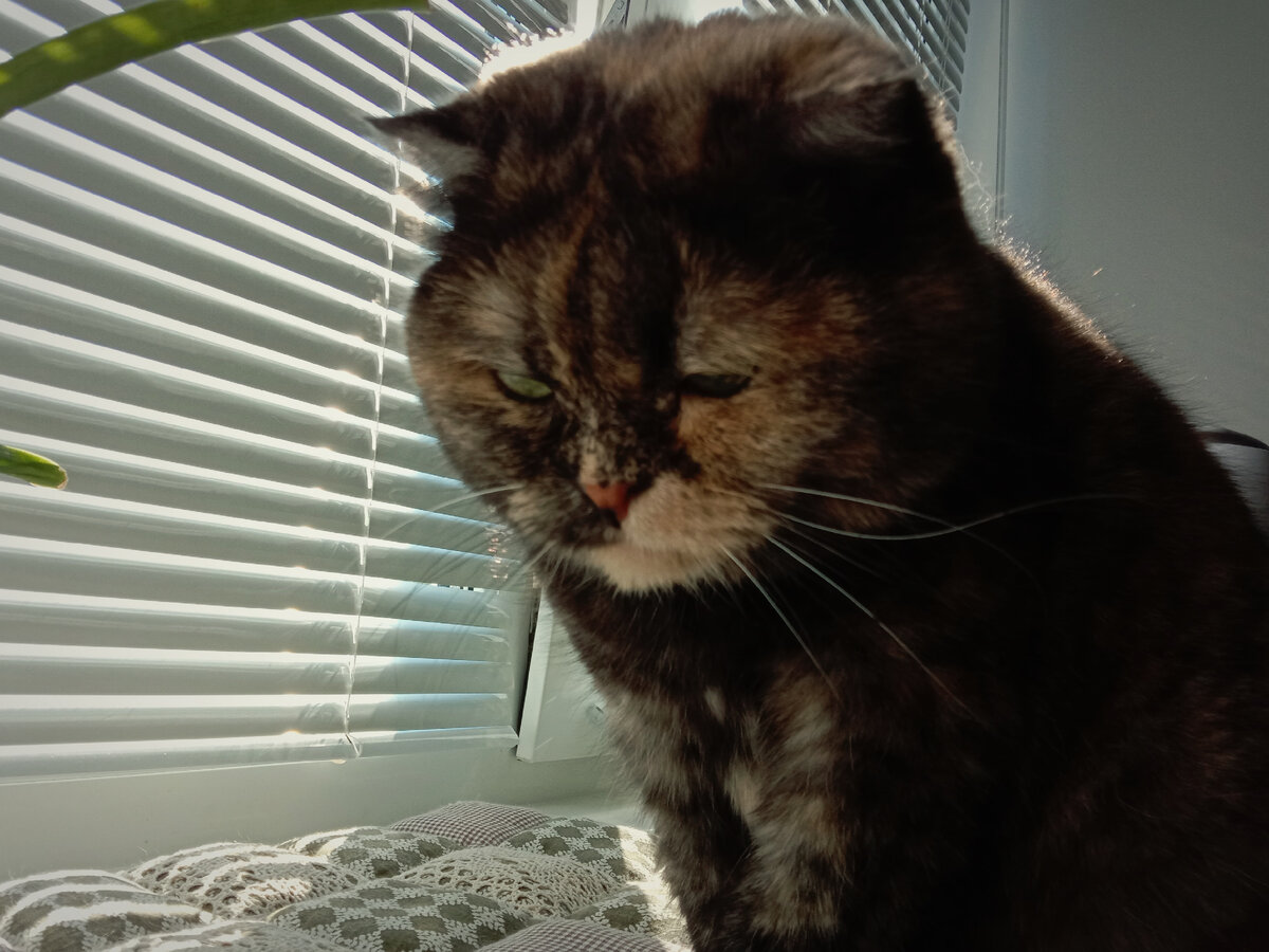 Опять уехали(