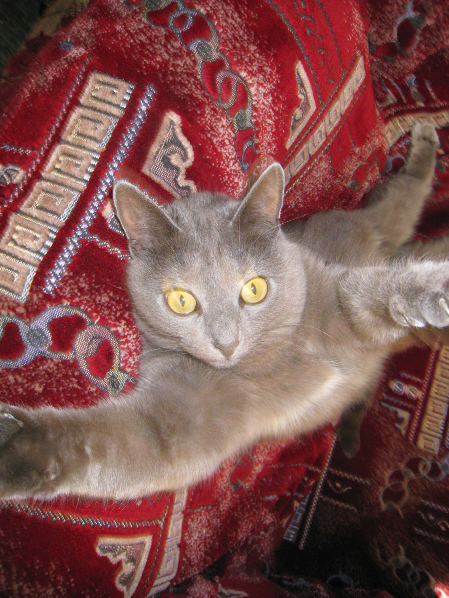 Фото автора