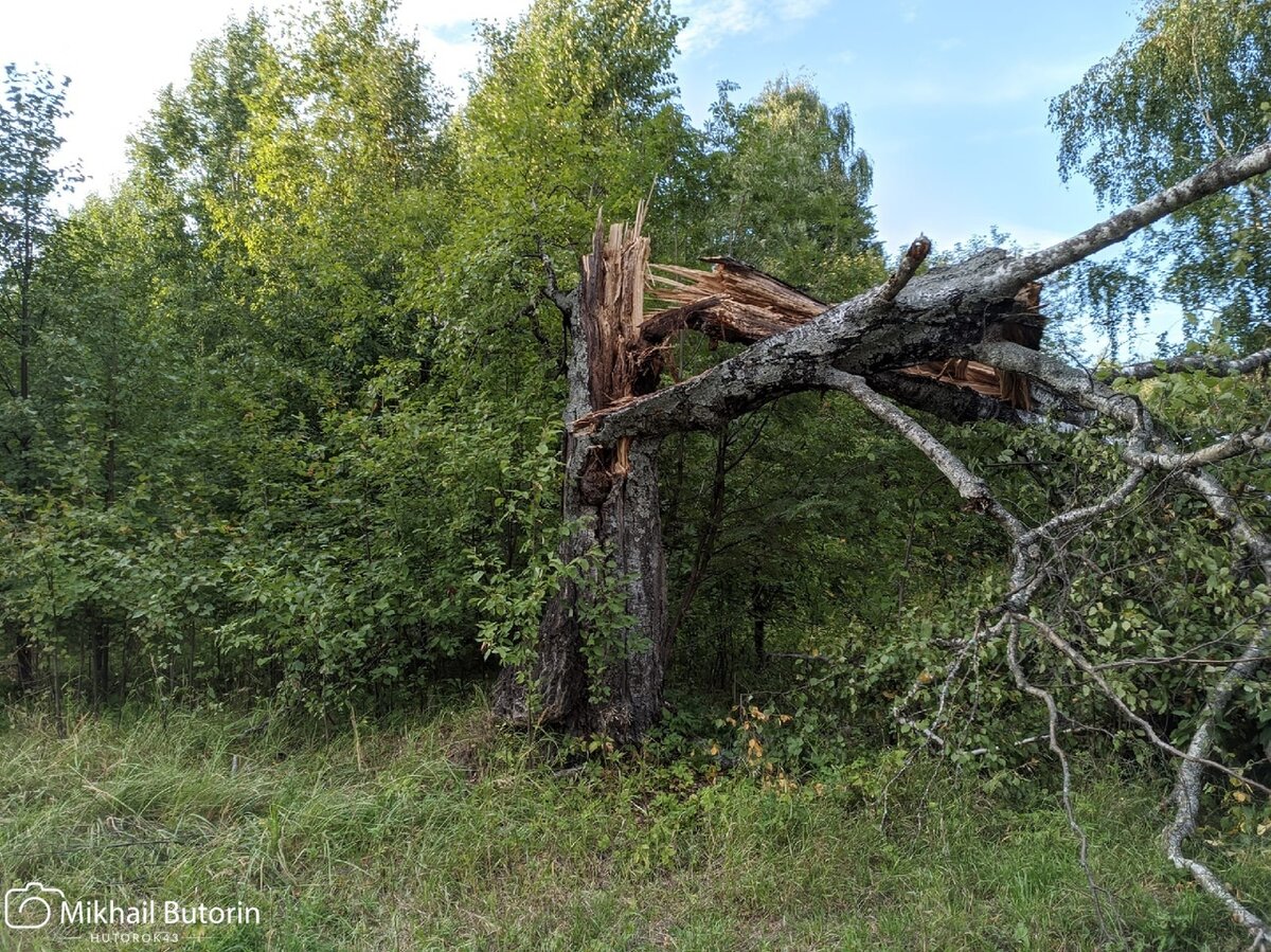 Над хутором пронёсся ураган. Унесло ли крышу дома прадеда, как об этом  писали в комментариях? | Вятский Хутор | Дзен