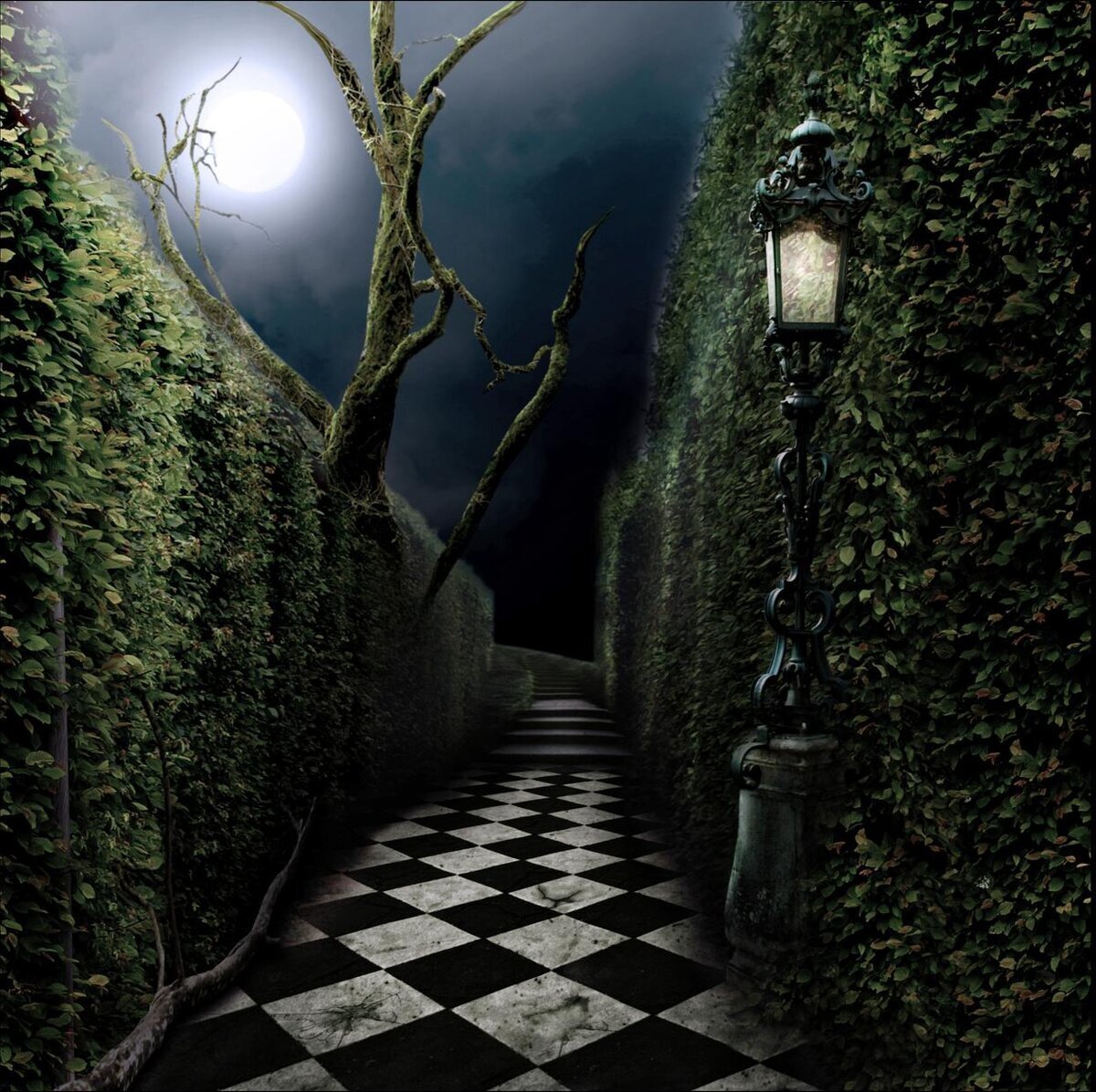 Туман. часть 3 | Нюша Порохня(Анна Лерн) | Дзен