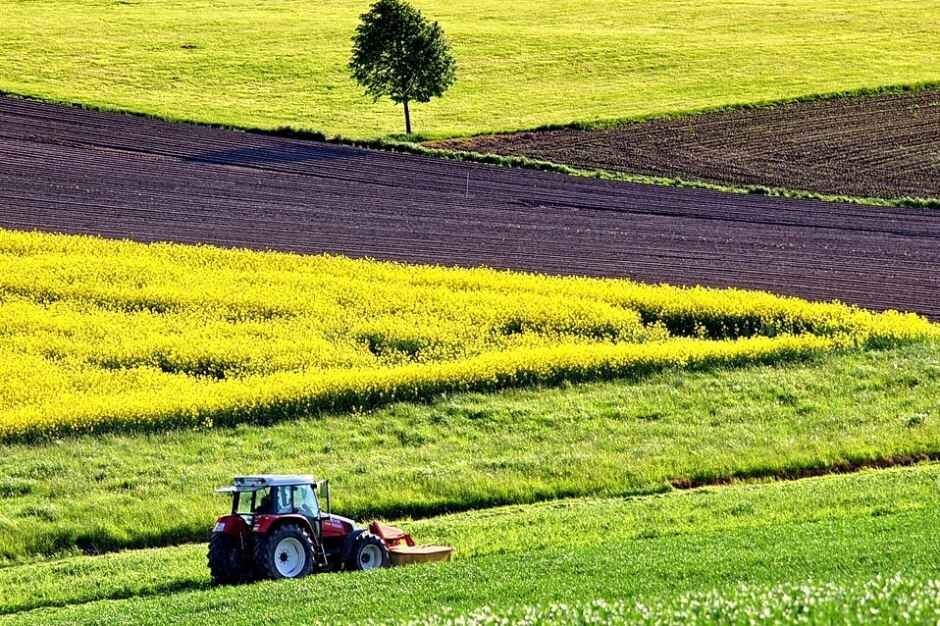 Аренда участка у государства