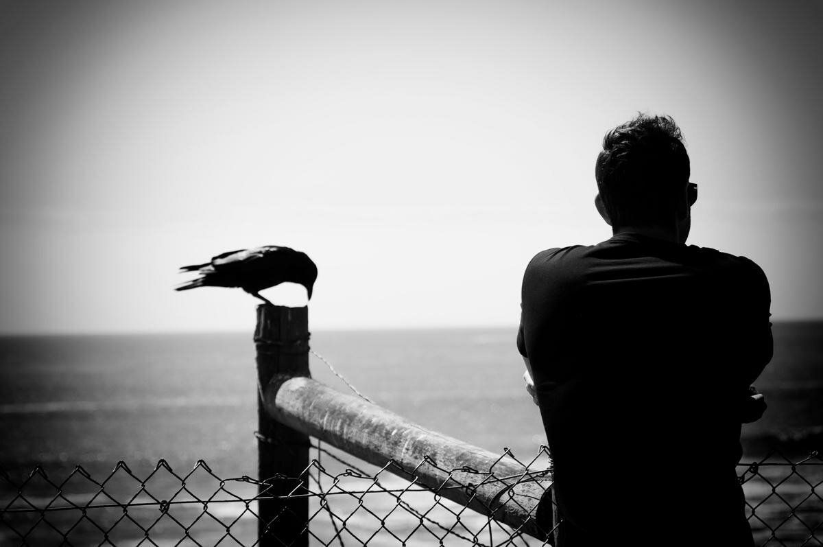 изображение из сети интернет и в свободном доступе