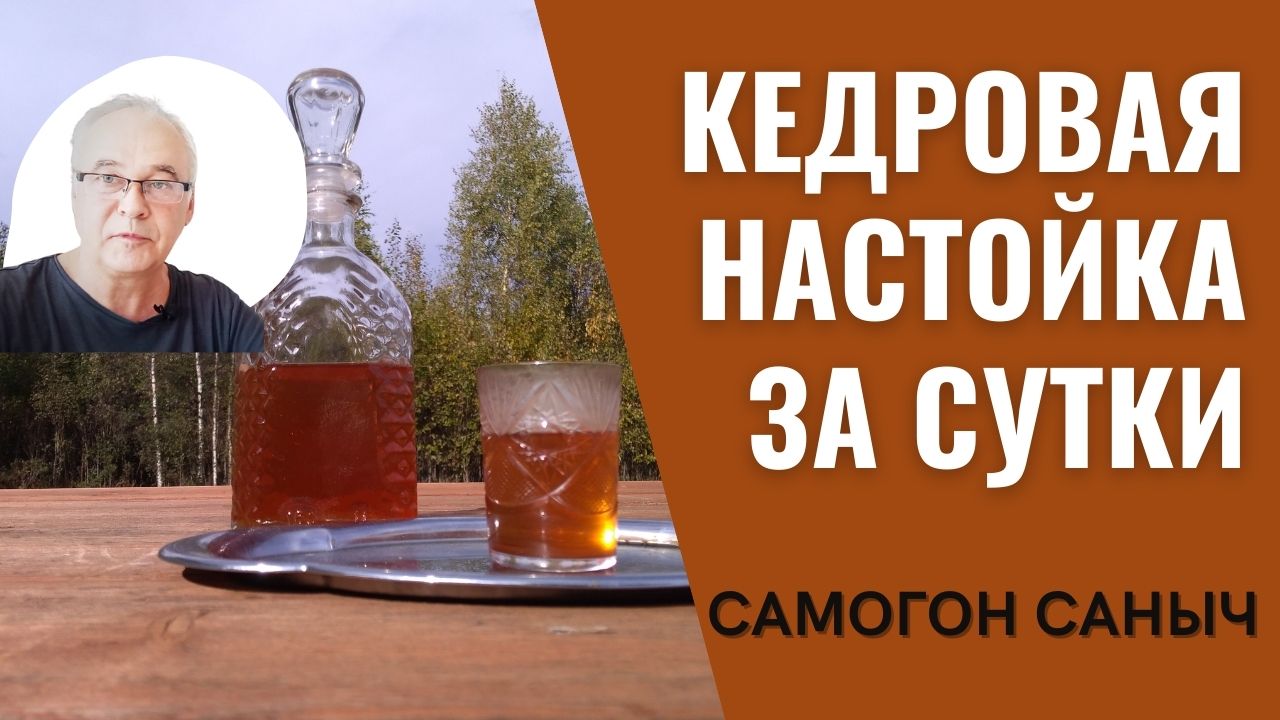 Как сделать кедровую настойку за сутки? Рецепты настоек. Самогон Саныч.