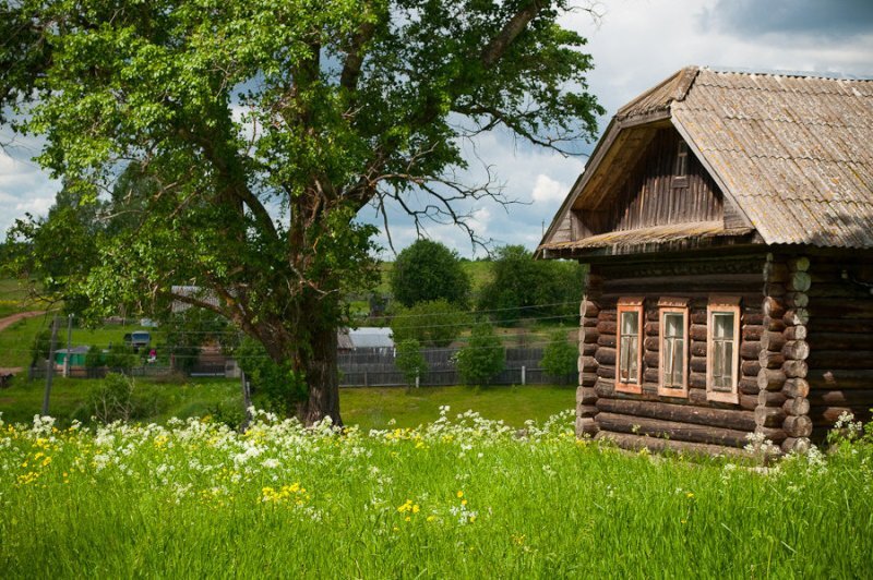 Я. Картинки источник vyatkakirov.ru 