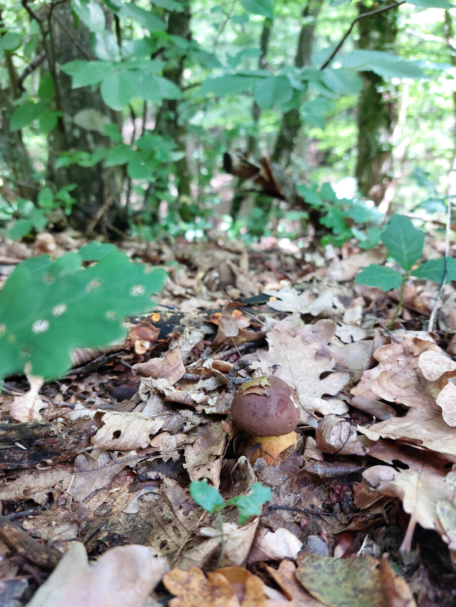 Красавчик же?