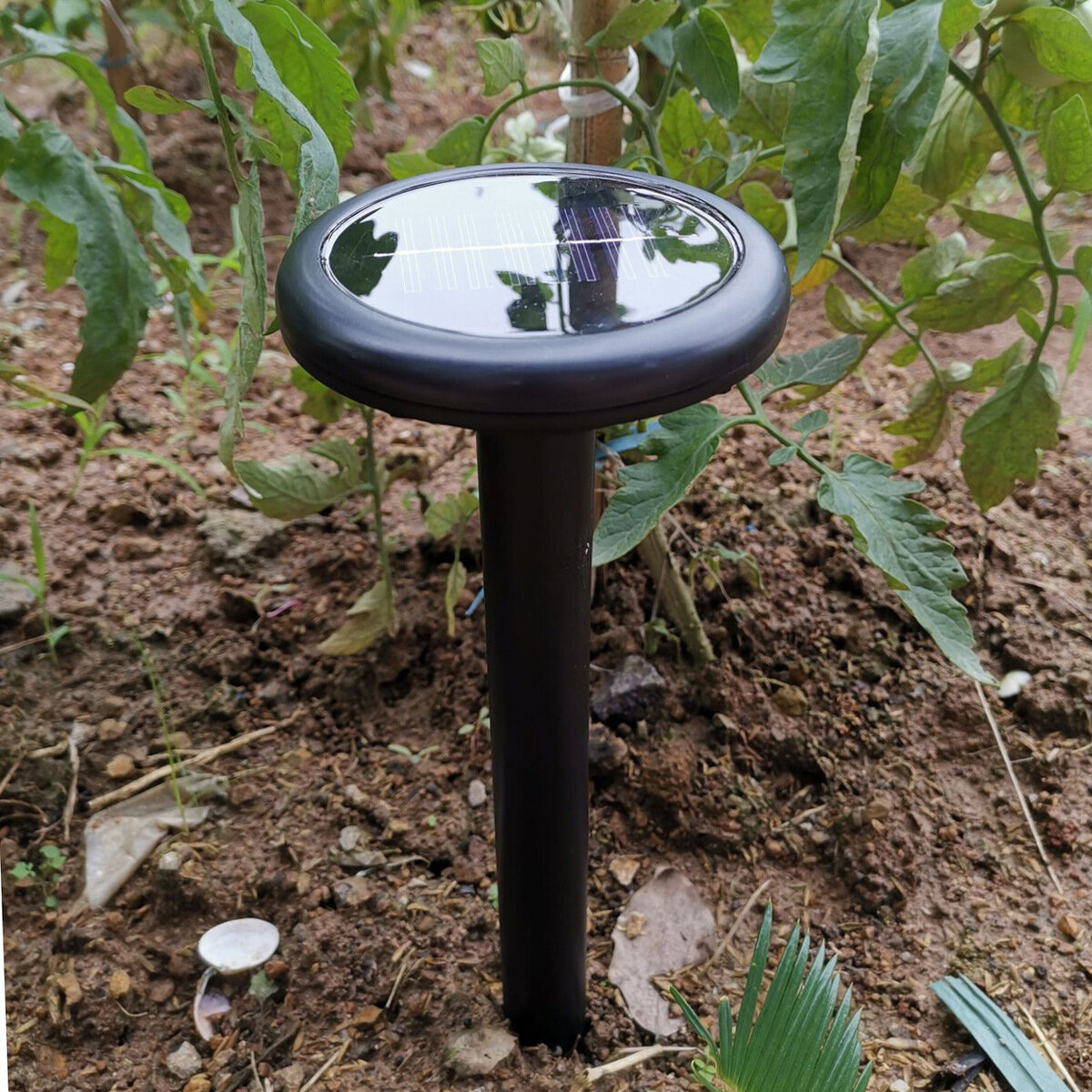 Добавьте описание