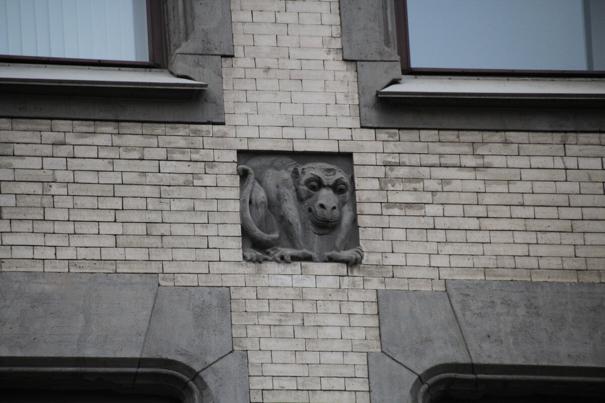 Обезьянка так и норовит прыгнуть на вас