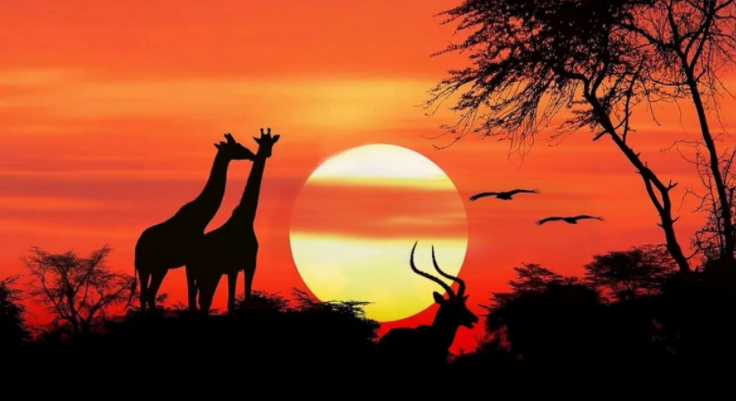 Фото из открытого источника