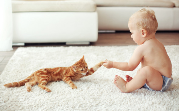 Фото: Alena Ozerova/shutterstock.com 
