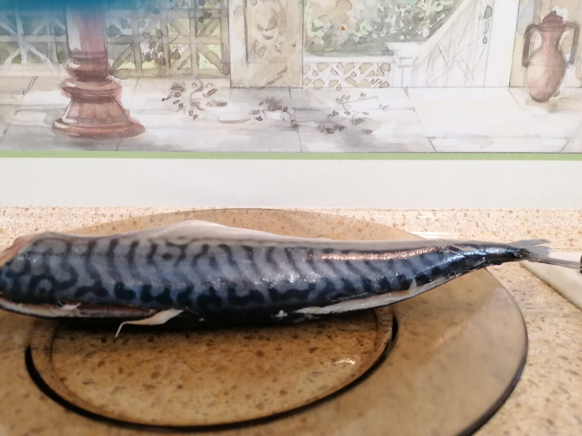 Фото автора. Плавники на спинке тоже удалила