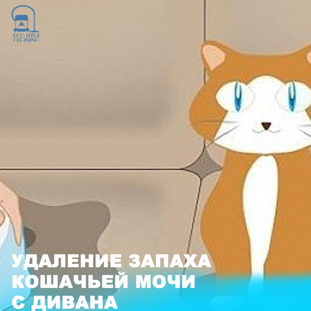 Пот пахнет кошачьей мочой у женщин причины. Чай пахнет кошачьей мочой.