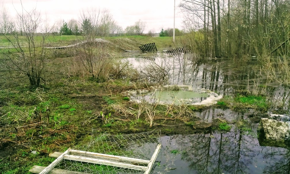 Забор упал, а участок превратился в заросшее болото- самое первое фото 12 мая 2017г
