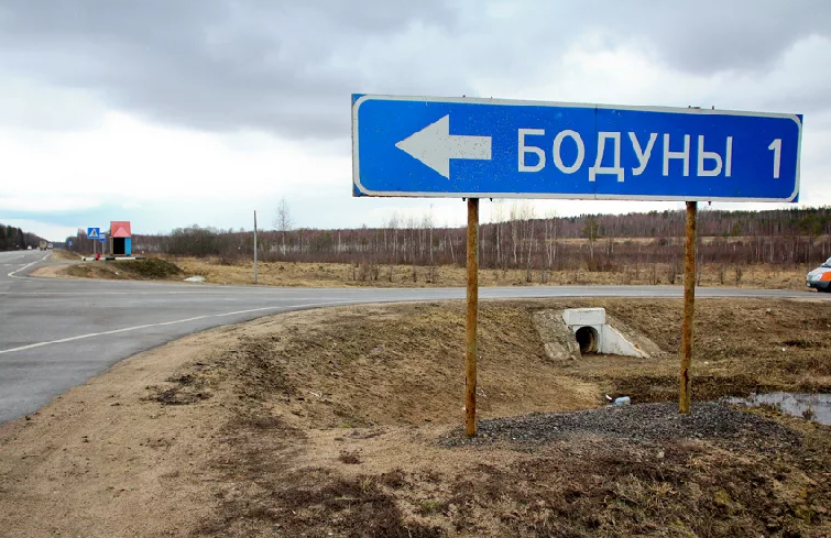 Яндекс картинки