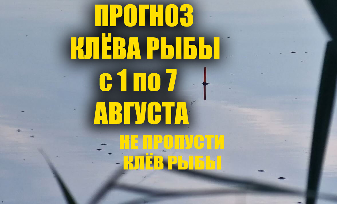 Календарь рыбака на завтра: прогноз клева