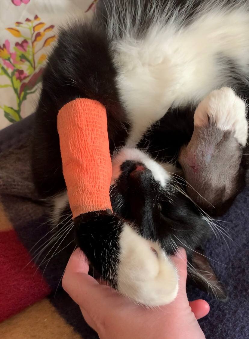 Благодарный пациент на следующий день 