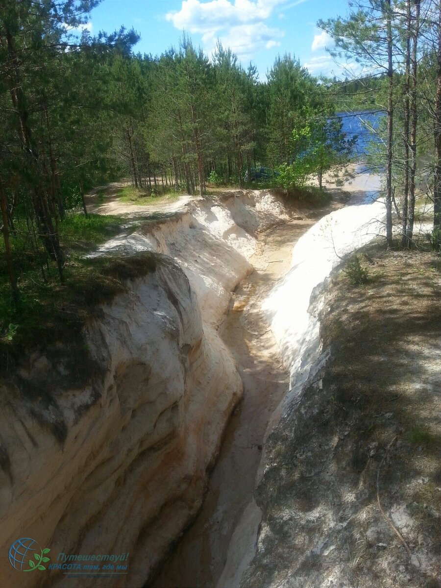 Малый Лужский каньон; вид со стороны леса