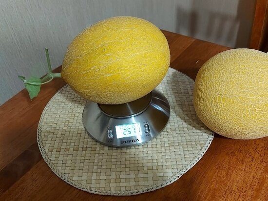     Фото: Алла Соколова