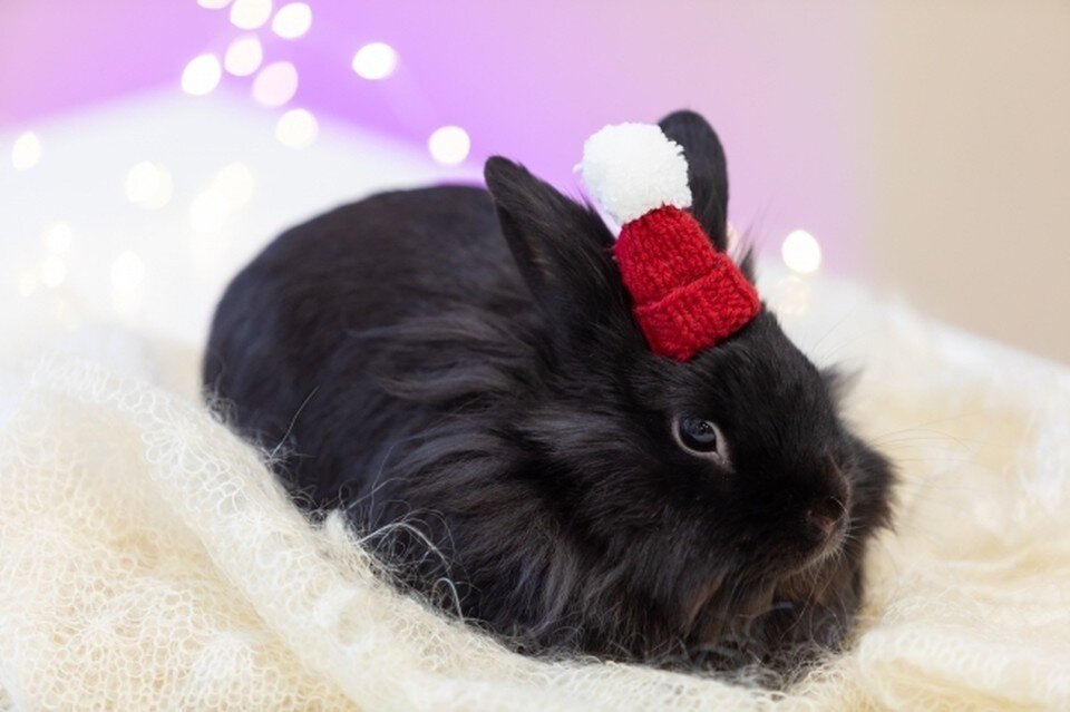     Мужчина с друзьями оказался в лесу Мария ЛЕНЦ