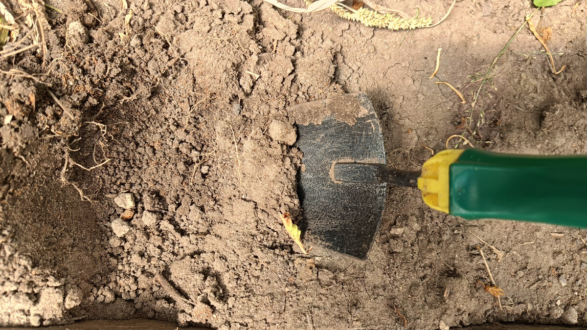 Почва сухая.