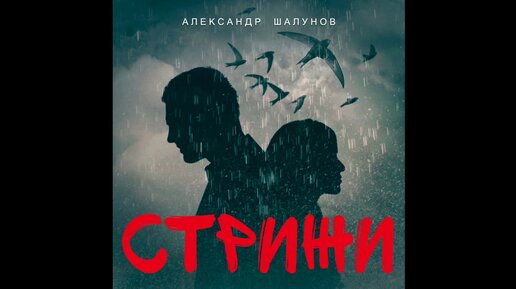 Александр Шалунов – Стрижи