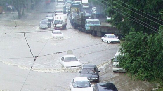    Вода в реках Приморского края будет подниматься до опасных значений до 17 августа Анна Белая