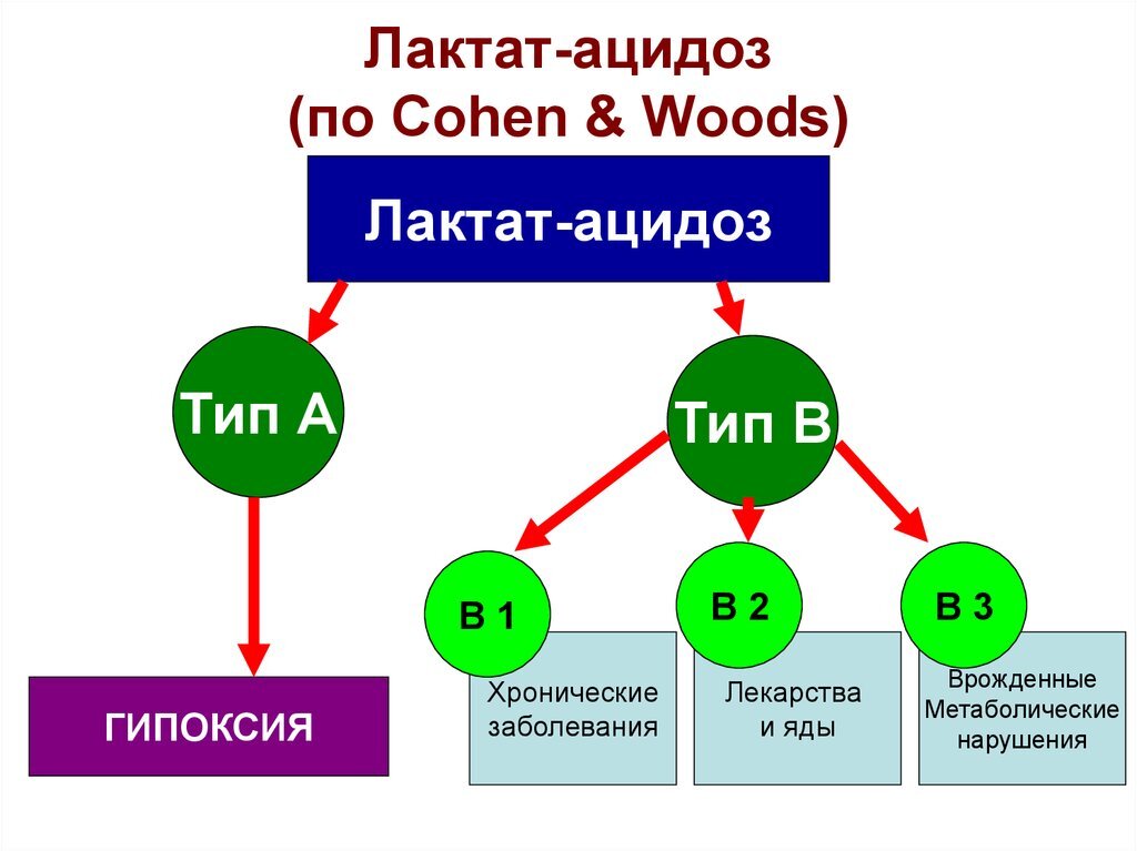 Лактат это. Лактат ацидоз механизмы развития. Лактатацидоз патогенез. Патогенез лактоацидоза. Лактоацидоз патогенез.