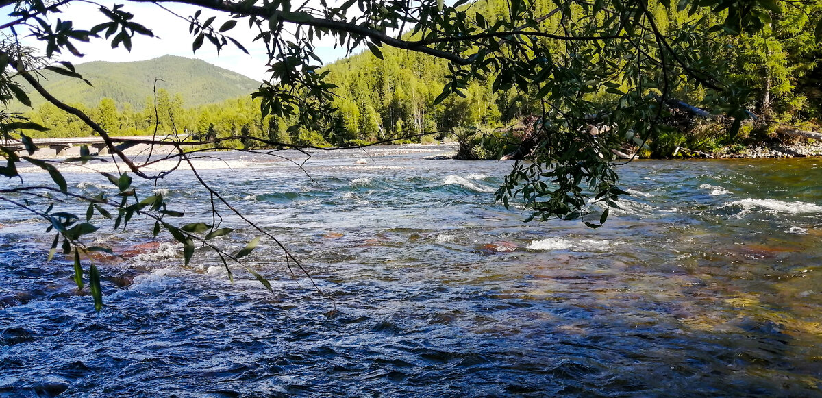 Река Ус, здесь мы и встали