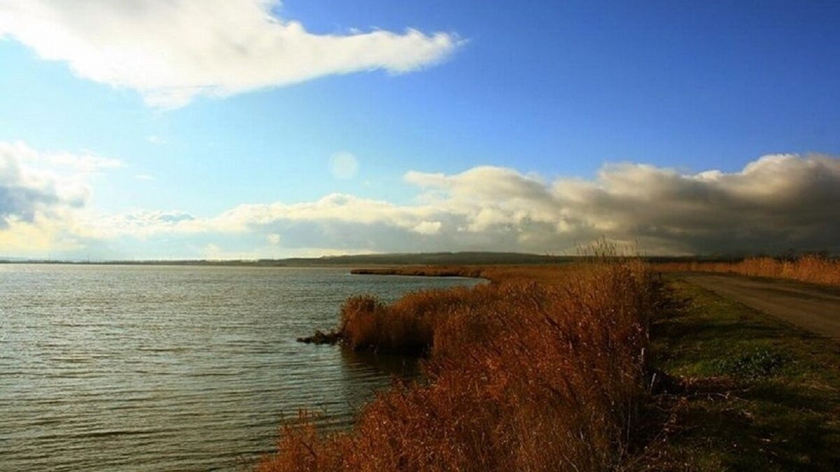 «Сдохнет все»: бизнесменов на Ставрополье обвинили в уничтожении уникальных озер