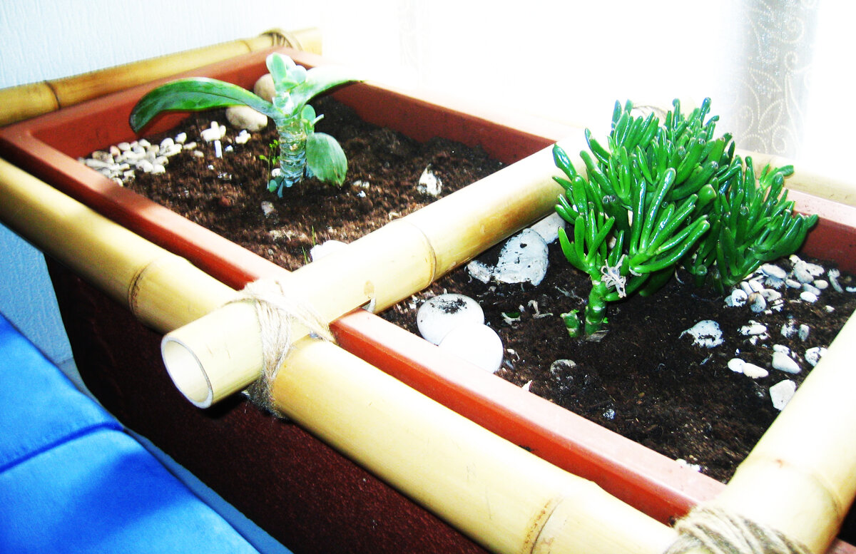 Фото из личного архива 