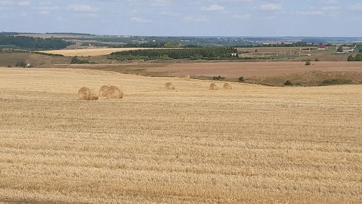    Из резервного фонда Правительства РФ аграриям выделяют дополнительные миллиарды