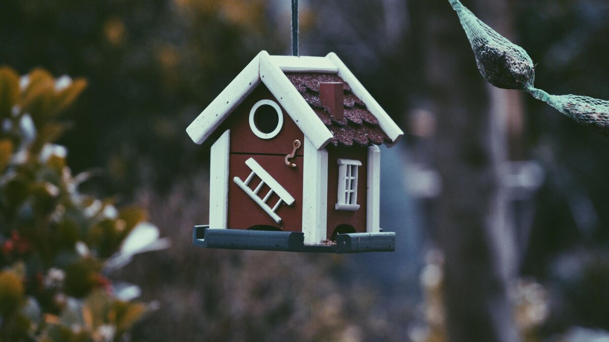    В Казани подешевело съемное жилье: но есть важный нюанс© Unsplash | Harmen Jelle van Mourik