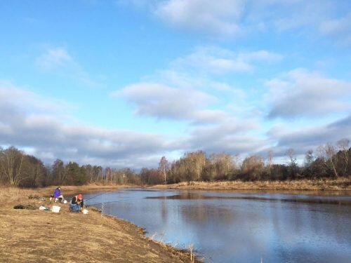 Ловля леща в апреле в водоёмах со стоячей водой более предсказуема, чем в водоёмах с течением, но улов в таких местах небольшой.