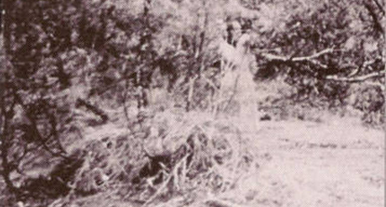 Призрак женщины куда-то смотрит.